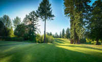 Forest Hills: #4