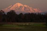 North Bellingham GC