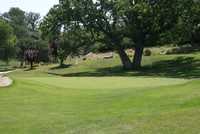 Horse Thief CC: #9