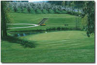 Indian Creek #2