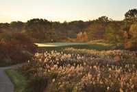 The Meadow At Peabody GC
