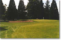 Rose City #1