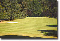 Salem GC #1