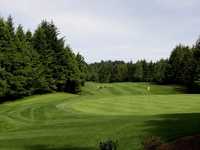 Salishan: #3