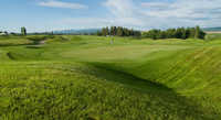 Northern Pines GC: #8