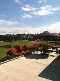 Eagle Watch GC
