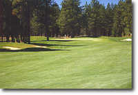 Widgi Creek #1