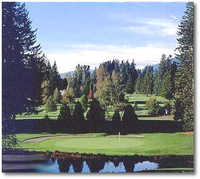 Hole (#4 Pine Cone)