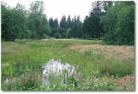 Camas Meadows GC #2
