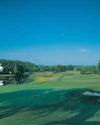TPC of Tampa Bay - Hole #15