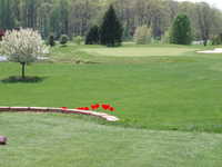 Geneva Farm GC #9
