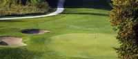 Stone Tree GC