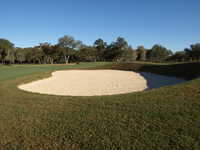 Brackenridge Park #1