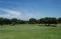 Hawk GC