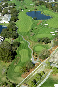 Aerial view of Meadows nine