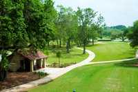 Houston Oaks #7