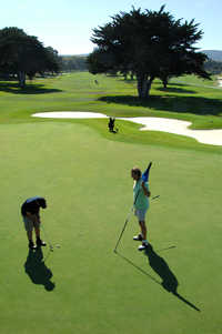 Monterey Pines GC