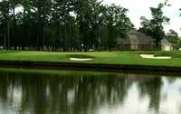 Carter Plantation: #17