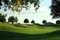 Black Bear GC
