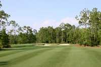 A view from Tiburon Golf Club:  Black Course