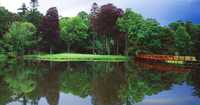 Carton House Golf Club - O'Meara Course