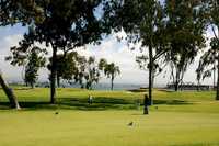 Coronado GC: green