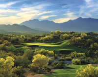 CC of Estrella: #17