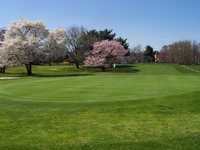 Ramblewood CC