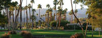 View from Rancho Las Palmas South Nine