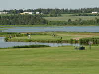 Stanhope GCC