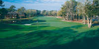Diamondhead CC