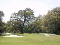 Jekyll Island GC - Oleander: #16