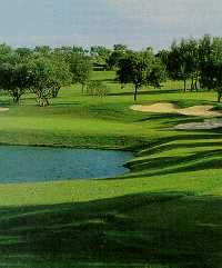 Apple Rock at Horseshoe Bay Resort & Conference Center - Resort