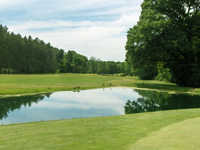 Delaware GC: #8