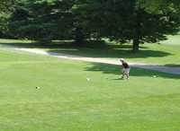 Northridge GC: #1