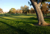 Apple Valley CC: #2