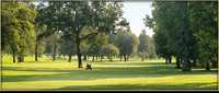Ancil Hoffman GC