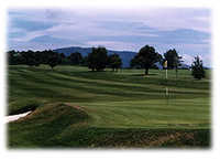 Cowal GC