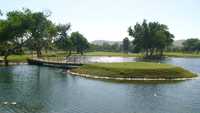 Cottonwood at Rancho San Diego - Ivanhoe