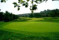 Coyote Hills GC: #11