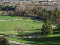 Gilroy GC: #8