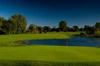 Pine Trace GC