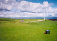 Balcomie - 1st tee