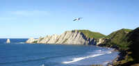 Cape Kidnappers