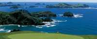 Kauri Cliffs Course