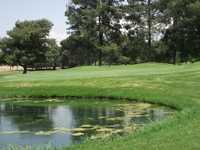 Paradise Knolls: #5