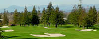 Foxtail GC