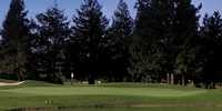 Foxtail GC