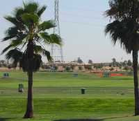 Pheasant Run GC: driving range