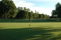 Bing Maloney GC: practice area